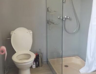 toilette salle de bain Appartement 3 famillial au coeur du village Saint-Jean-du-Bruel